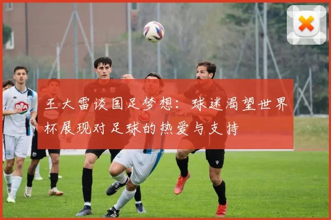 王大雷谈国足梦想：球迷渴望世界杯展现对足球的热爱与支持