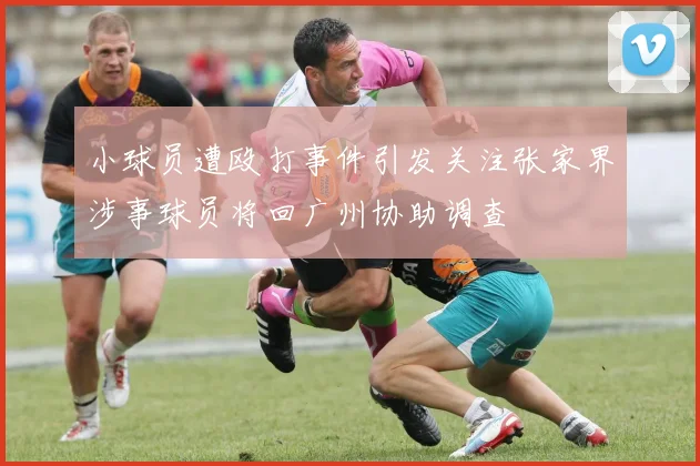 小球员遭殴打事件引发关注张家界涉事球员将回广州协助调查